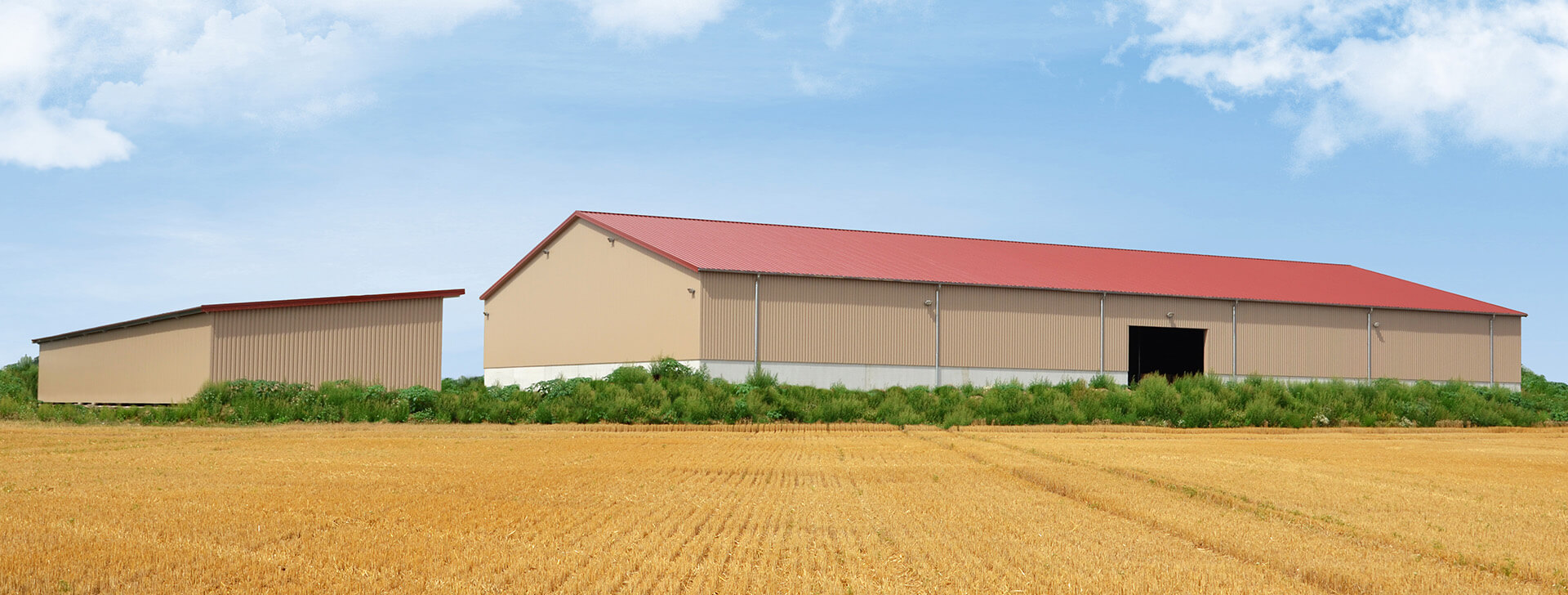 Hale za žito in proizvode v razsutem stanju - WOLF System