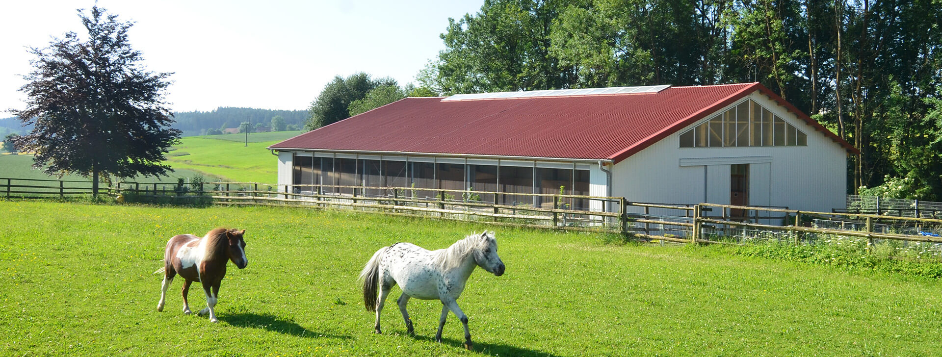 Hlevi za konje - Agrarna gradnja - WOLF System